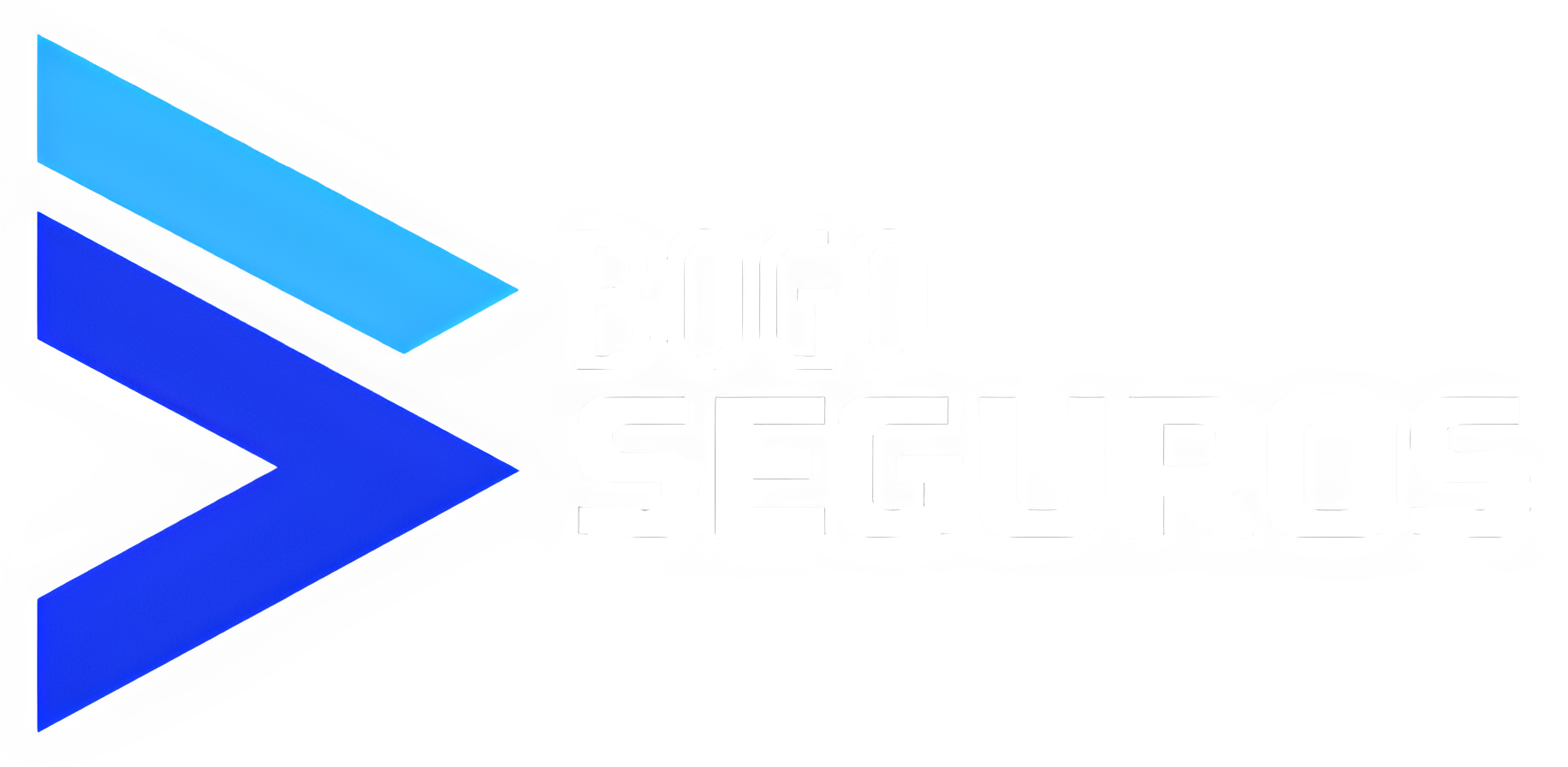 Bogo Seguros